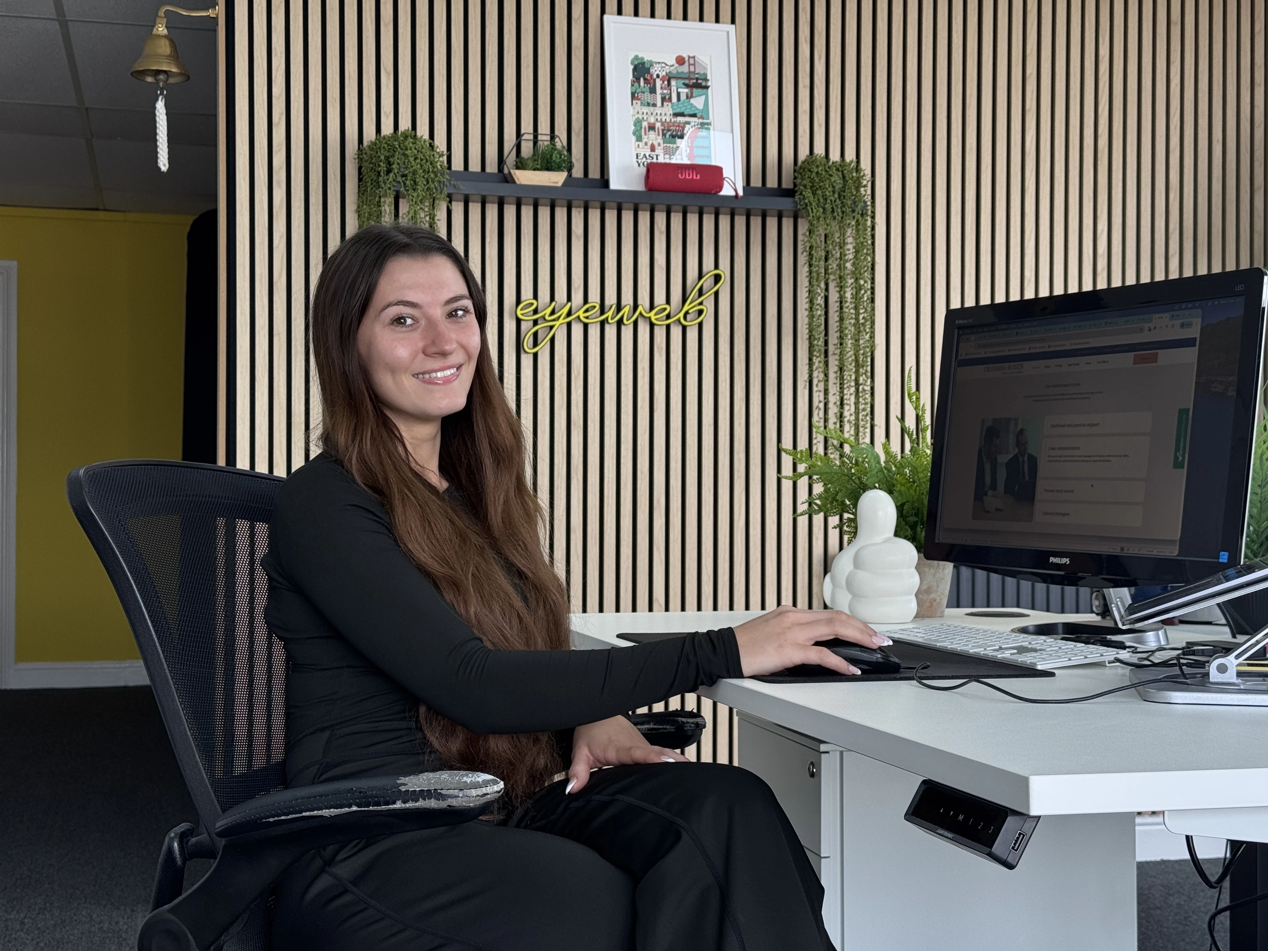 mid article image